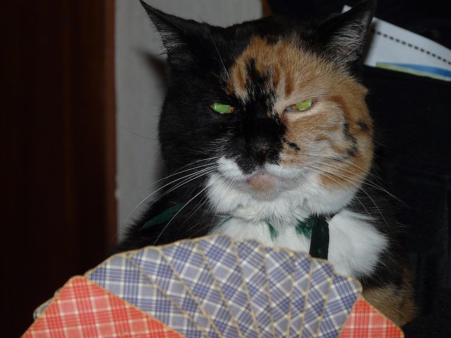 cat-55509__480 【ワインのすすめ】ワイン初心者からソムリエ試験